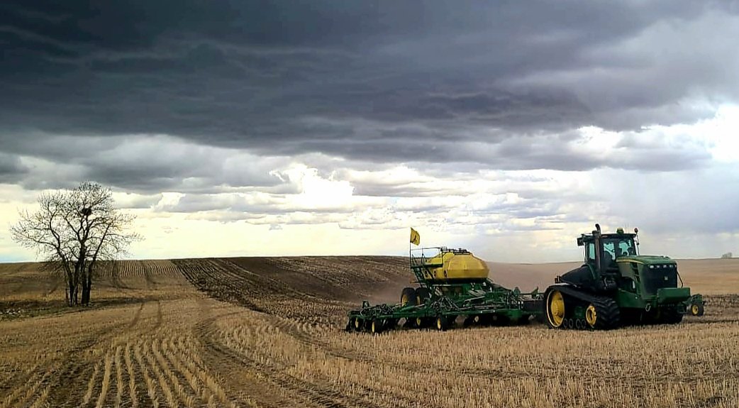 adamwalter974's tweet photo. That time of year is back! #Plant22 #Alberta #wheat #goldcloud https://t.co/zqbgV5Hez9
