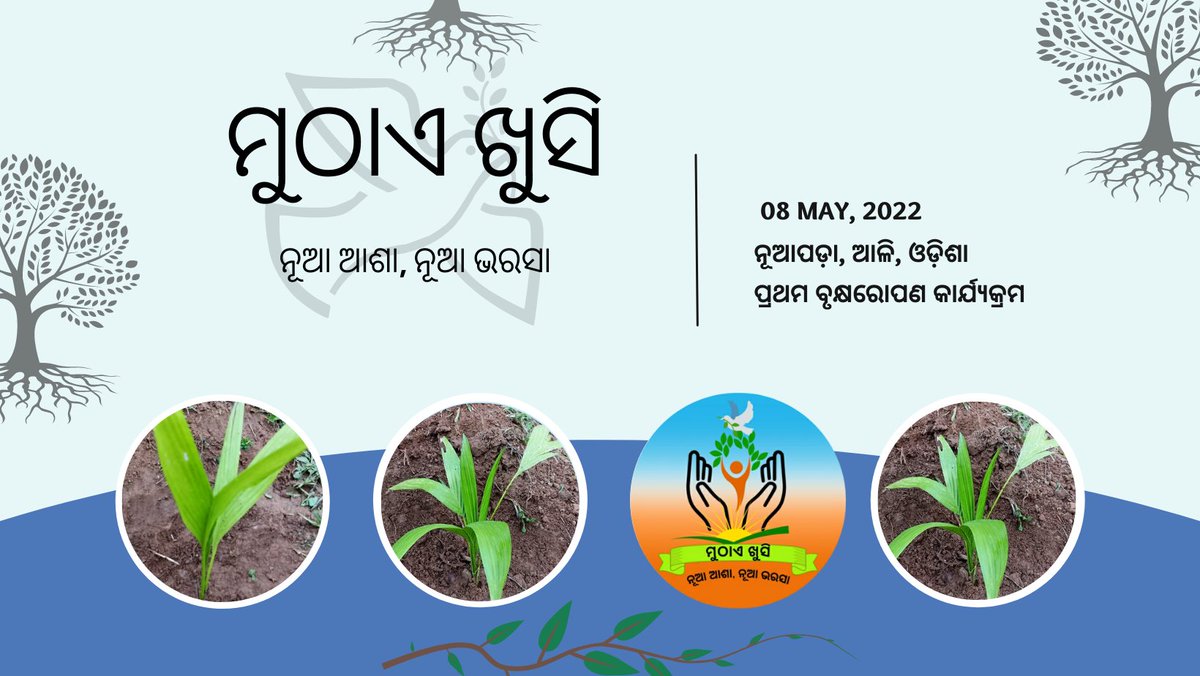muthae_khushi's tweet photo. "ମୁଠାଏ ଖୁସି" ସଂଗଠନର ପ୍ରଥମ ବୃକ୍ଷରୋପଣ କାର୍ଯ୍ୟକ୍ରମ ସୂଚାରୁ ରୂପେ ସମ୍ପନ୍ନ ହୋଇଛି। ସମାଜକୁ ସବୁଜିମାରେ ଭରିବାରେ ଏହା ଆମର ପ୍ରଥମ ପ୍ରୟାସ । ଏହି ମହତ୍ କାର୍ଯ୍ୟକୁ ଶୁଭାରମ୍ଭ କରିଥିବା ଆମର ସମାଜ ପ୍ରେମୀ ସଦସ୍ୟମାନଙ୍କୁ ମୁଠାଏ ଖୁସି ପରିବାର ତରଫରୁ ଅଶେଷ ଅଶେଷ ଧନ୍ୟବାଦ । https://t.co/p95XWNl31P