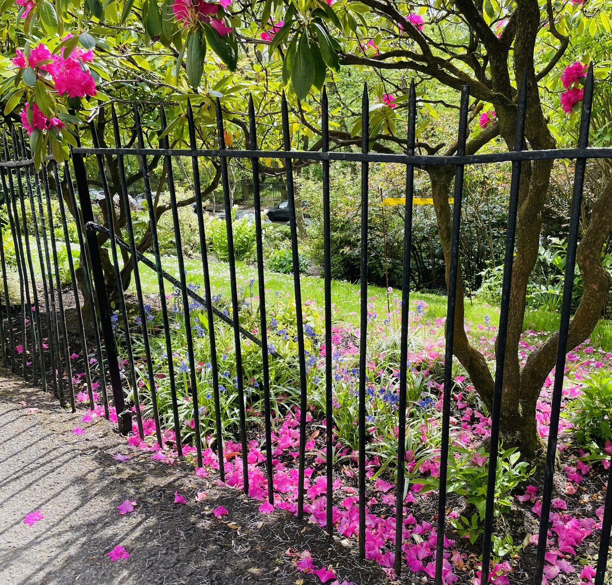 annewhitaker's tweet photo. Today - pink snow...
#pinksnow #glasgowwestend https://t.co/FUPR64gAd0