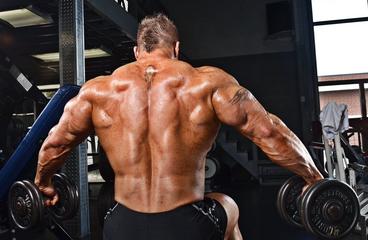FITNESSANDBODY3's tweet photo. However, training your back the right way, “it is possible that you don’t even need that much load, let alone exaggerated repetitions.
Read more at: https://t.co/uVD10dhoj1
#buildmass #buildstrong #buildmuscle #genetics #fitness #bodybuilding #gym #diet #exercise #training https://t.co/5rHpTVAPuT