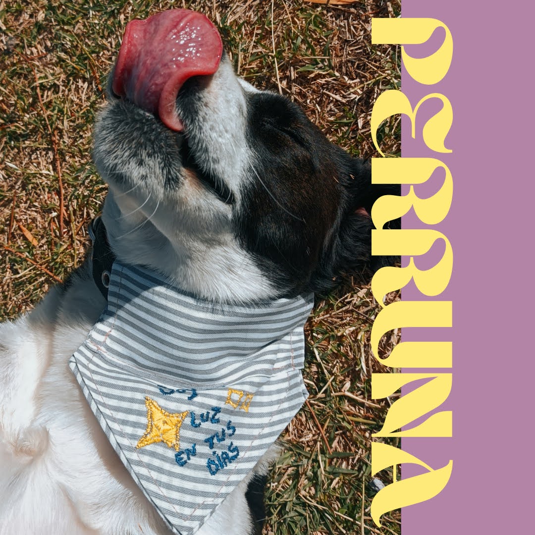 AccesoriosFefas's tweet photo. BANDANAS PERRUNAS! . 

Podes ver más modelos en nuestra tiendita de WhatsApp 📲11-2349-1744 o podes escribirnos y hacer tu pedido con bordado del nombre de tu perrito/a. 

 #AccesoriosDeLaPatagonia💜💛 #Descuentos #Tarjetas #Efectivo #Accesorios #Aros #Regala #WhatsApp #Diseño https://t.co/pSLmsUE5kG