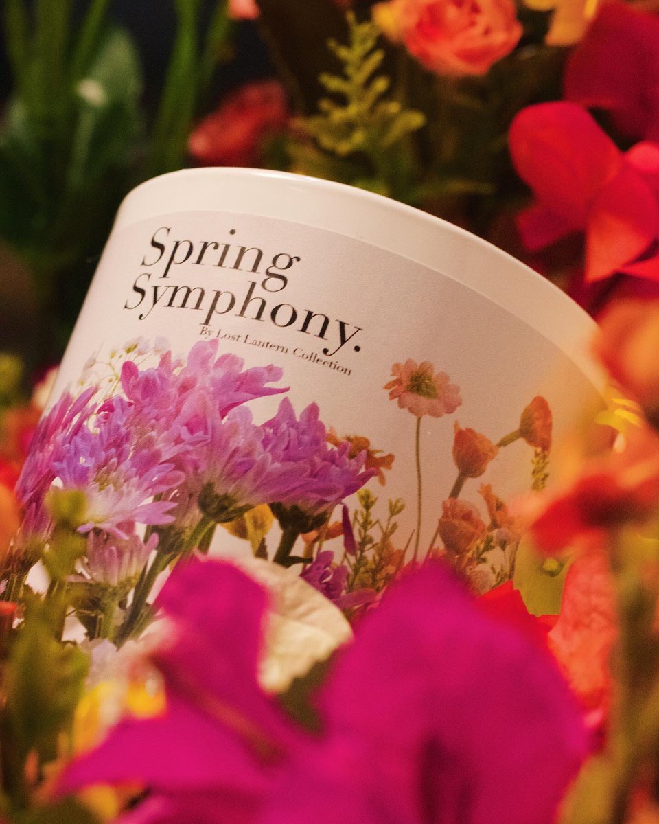 Lost Lantern tweet media