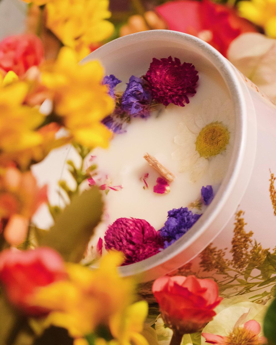 Lost Lantern tweet media