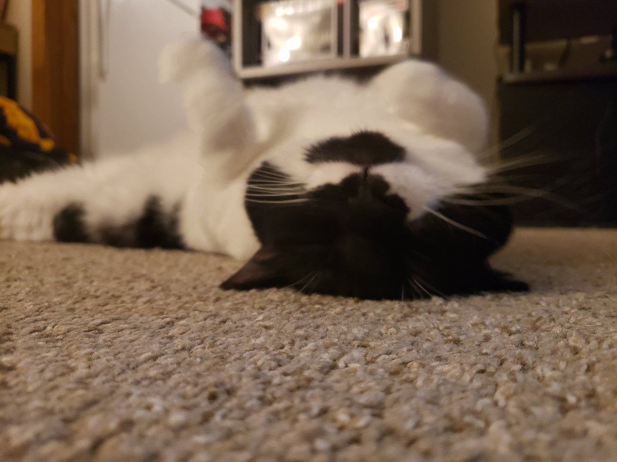 milkponds's tweet photo. Just hot air in her little head https://t.co/TjZPgPrvQe
