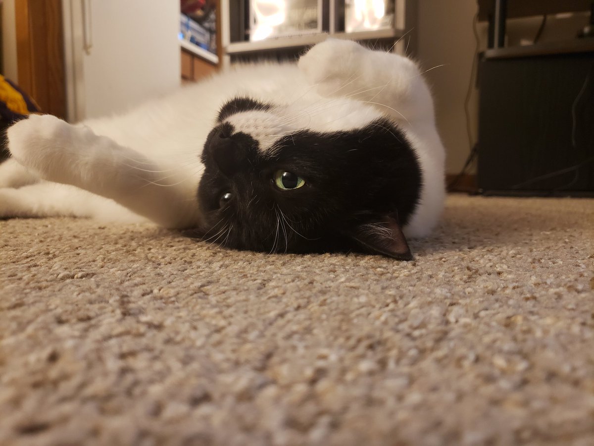 milkponds's tweet photo. Just hot air in her little head https://t.co/TjZPgPrvQe