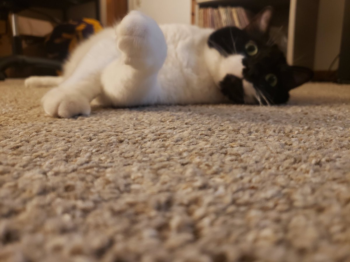 milkponds's tweet photo. Just hot air in her little head https://t.co/TjZPgPrvQe