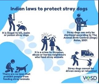 SunjayJK's tweet photo. @SENTHILSSK1982 @NarvijayYadav @sharmaleena @ashukla30 @streetdogsof @TheViditsharma @TheDogMother_ @feedtheneedy11 @ABuddhists @avc_201 @Rekhamodi6 @joedelhi Ethics, Integrity, Compassion of @navinvishal7519 ji long gone, now kindly #SaveBrain from also conking off!
A dhongi follower of @ishafoundation @SadhguruJV, who is defaming their names by attacking Street Animals, #CommunityDogs (Delhi HC) and their selfless carers, feeders. https://t.co/jE5TEuYlIB