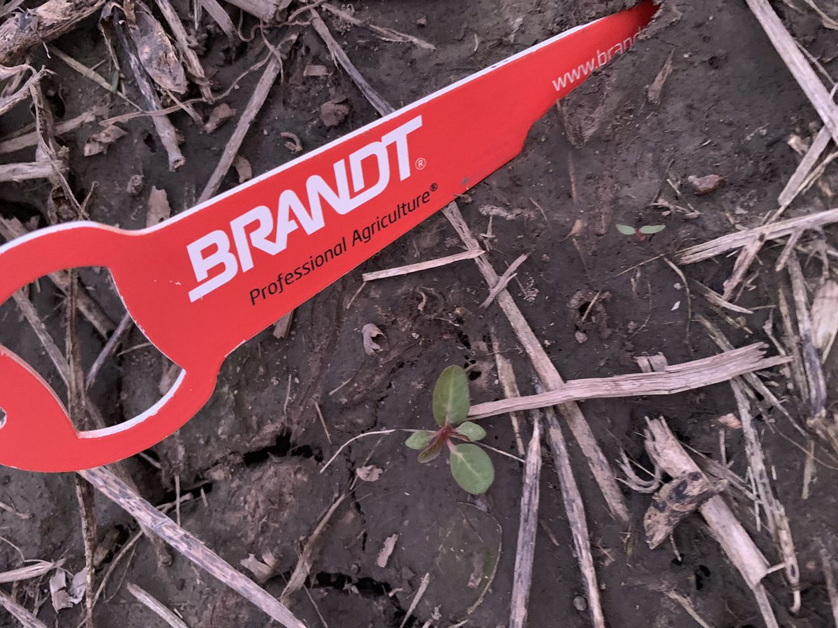 Brian Dintelmann tweet media