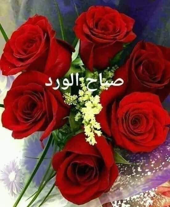 النفوس الطيبة. يطيب وصالها 🌿🌷
أسعدكم. الله بكل. أمل تبلغوه ورضى
عنكم رضا 🌱لم تعلموه 🌸ورزقكم
رزقأ لم تحتسبوه، ،،،،،،، 🍃🍃🌹
   🌼صباحكم سعادة ورضا. 🌼