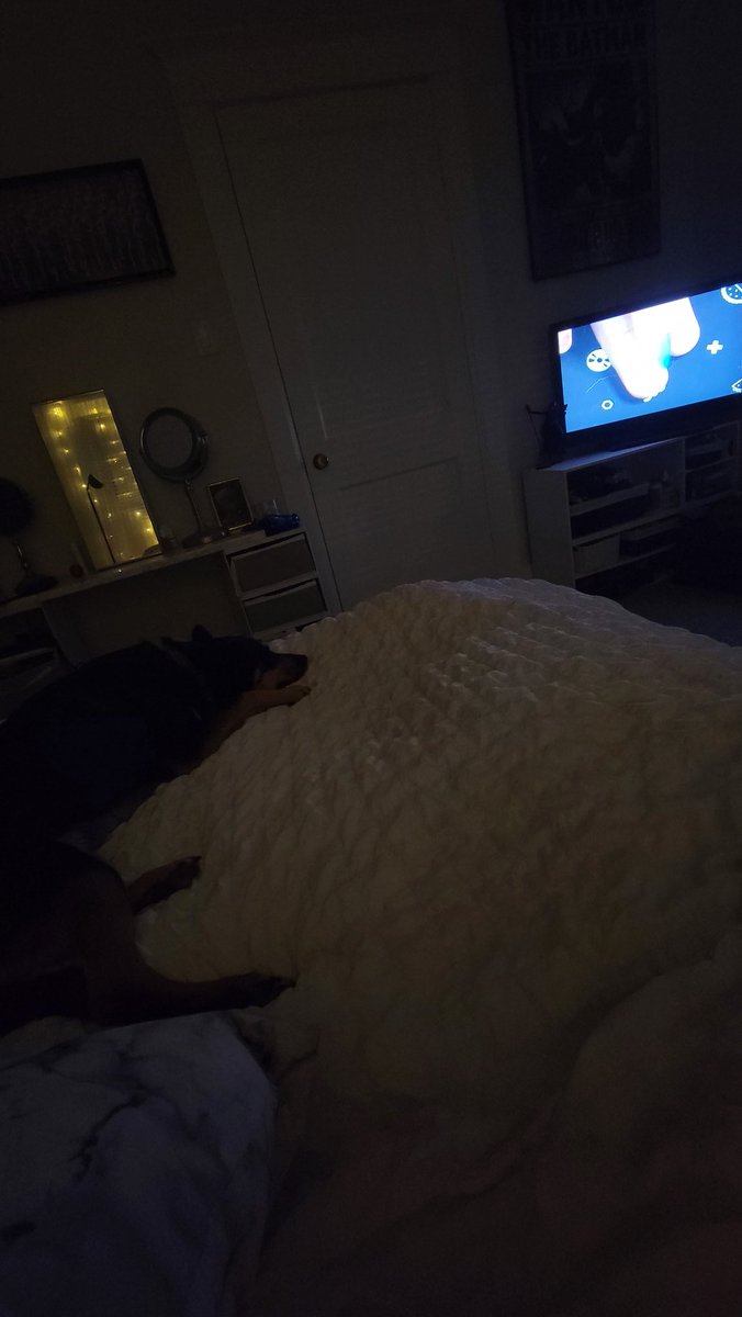 EricaAdam's tweet photo. @nailogical She's probably your youngest fan at 3 years old, but Simply is a great nighttime routine for Storm the Cattledog #holodoggo 💿💿 https://t.co/eBZyBlcql6