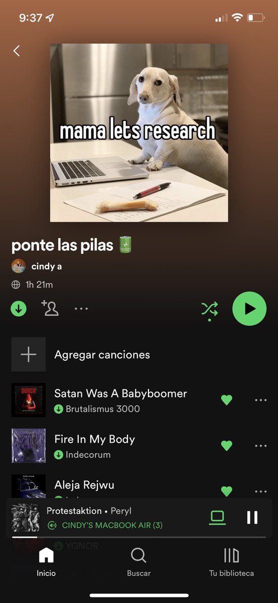 reallifelatina's tweet photo. this playlist is the closest thing i’ll have to an adderall prescription https://t.co/caDlElWEOC