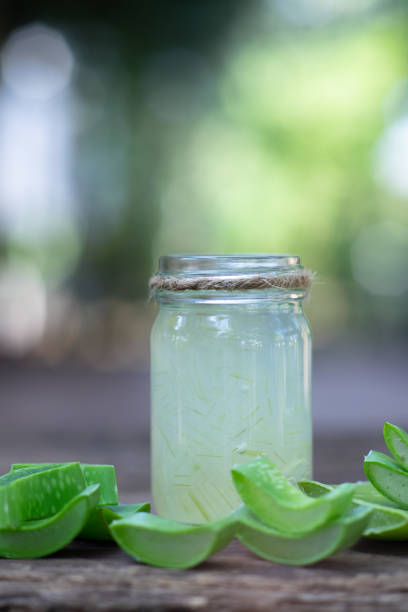 HandeYunnan's tweet image. #Aloeextract in health care and diet: sterilization and anti-inflammatory, improving immune function; eliminating endotoxin, eliminating toxic free radicals, improving circulatory system, preventing and treating digestive system diseases. handebiotech.com
 #healthcare