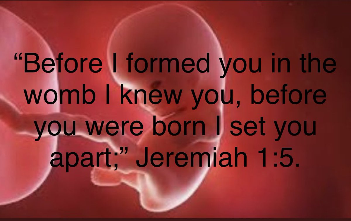 LlecheG's tweet photo. @SKMorefield My family and extended friends and everyone else Globally who make it through the daily tribulations and are able to enjoy the triumphs of Life !  Can I get an AMEN 👇 https://t.co/XUBmcNrFcY