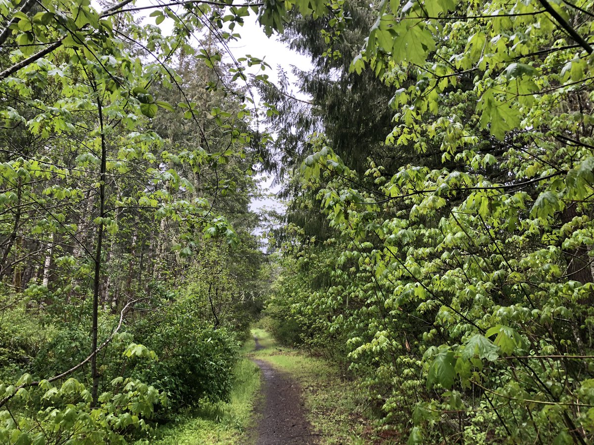 Brian Knaus tweet media