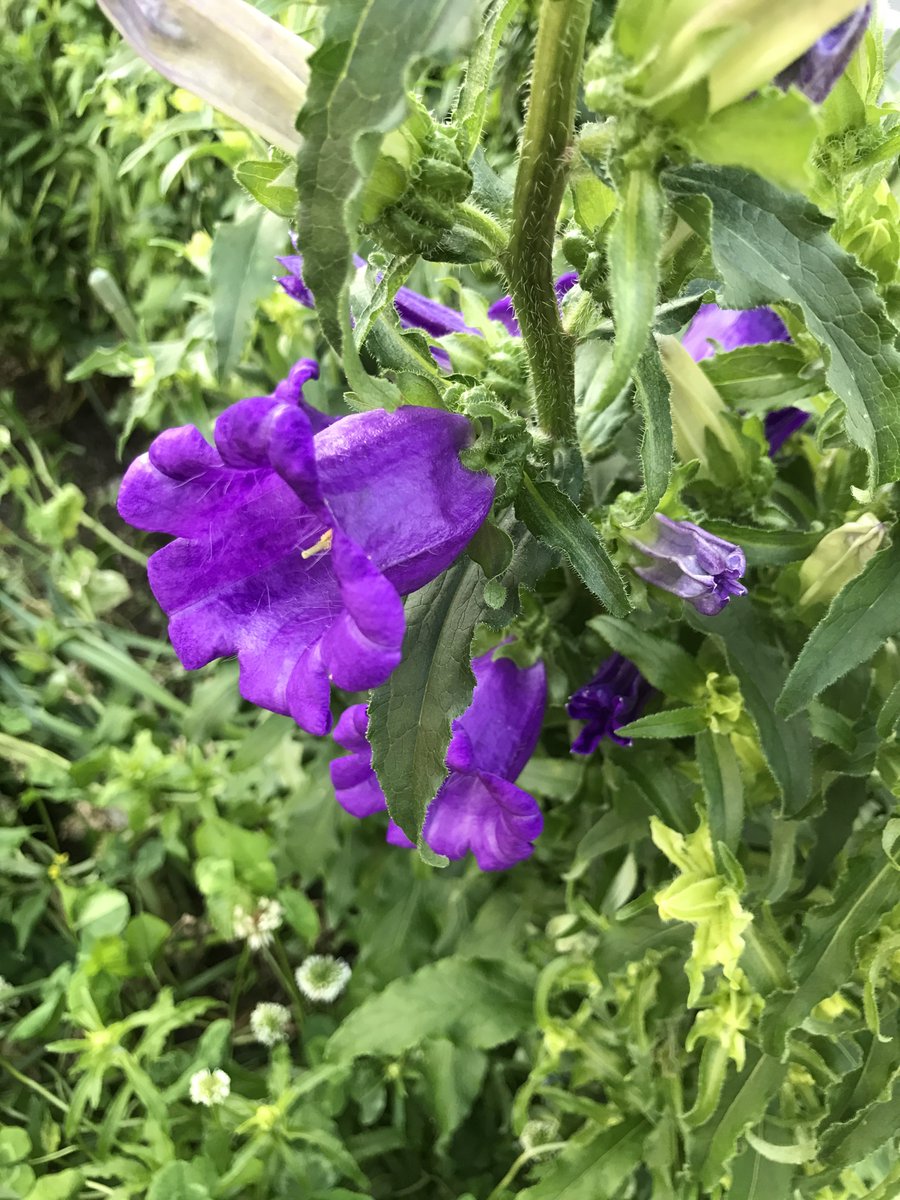 ⌖飴͙村͙ 乱͙数͙⌖ tweet media