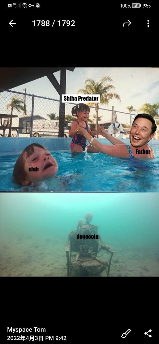 ShibaPredator1's tweet photo. When it comes time to sink or swim, the $QOM always rises to the top.  #flipshiba https://t.co/5039Q0CLxZ