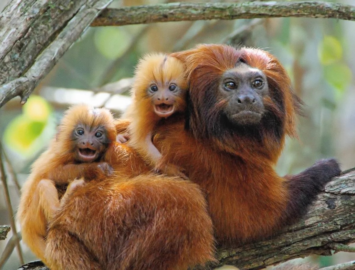 GMFunkyClub's tweet photo. Happy Mother´s Day to all mothers around the world.
Give your mother a nice smile just like this cuties!!!

#nft #nftart #nftartist #nfts #nftcollector #nftcommunity #cryptoart #cryptoartist #digitalart #eth #opensea #collection #gmfc #ethereum #EthereumNFTs #NFT #NFTS https://t.co/SC6mrakGdm