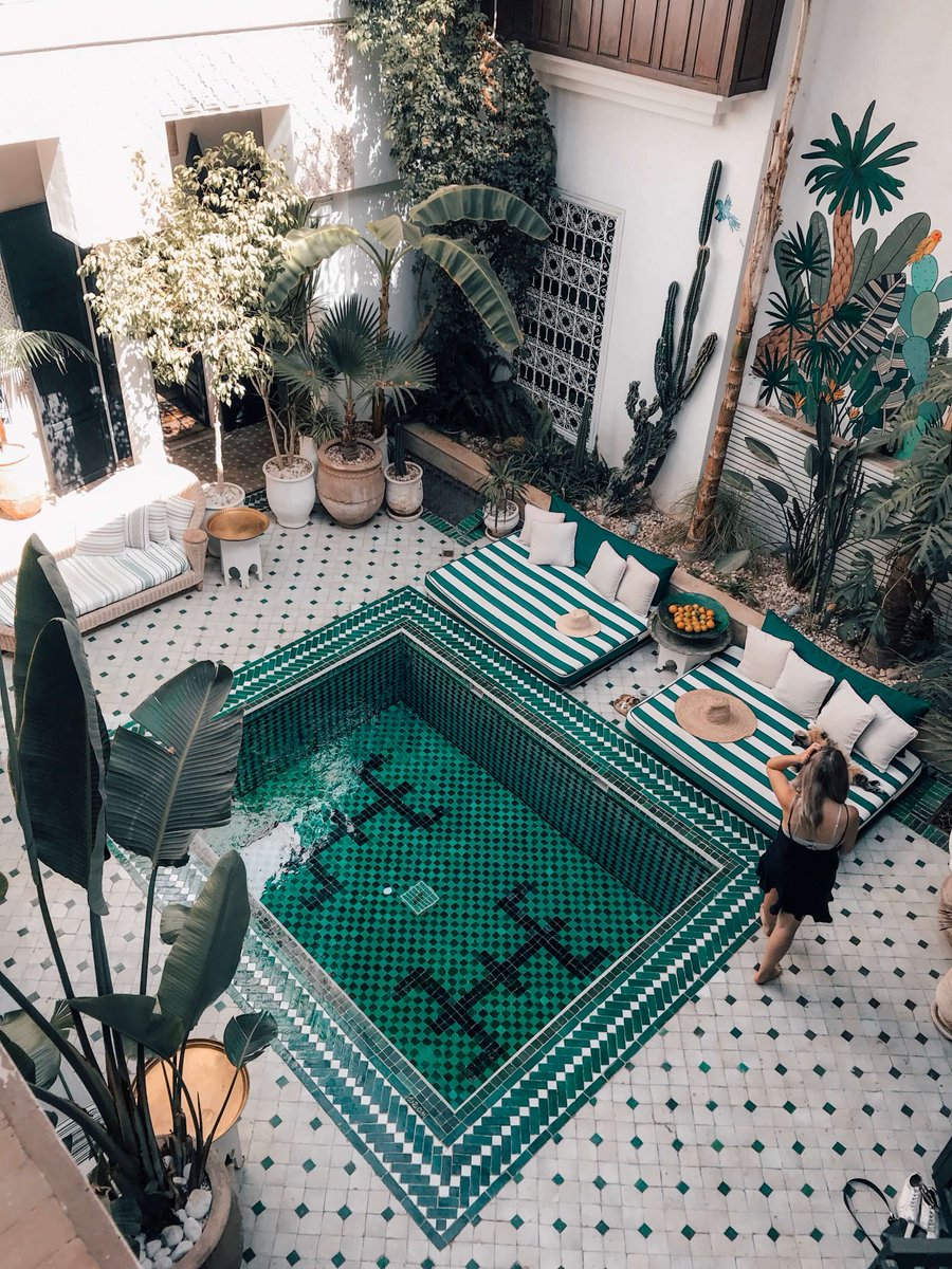 visit__morocco_'s tweet photo. Good morning to everyone except for people who get to wake up by Riad Yasmine's hotel pool in Marrakech. Only because we're jealous. 😍 https://t.co/lRNd2ysIEC