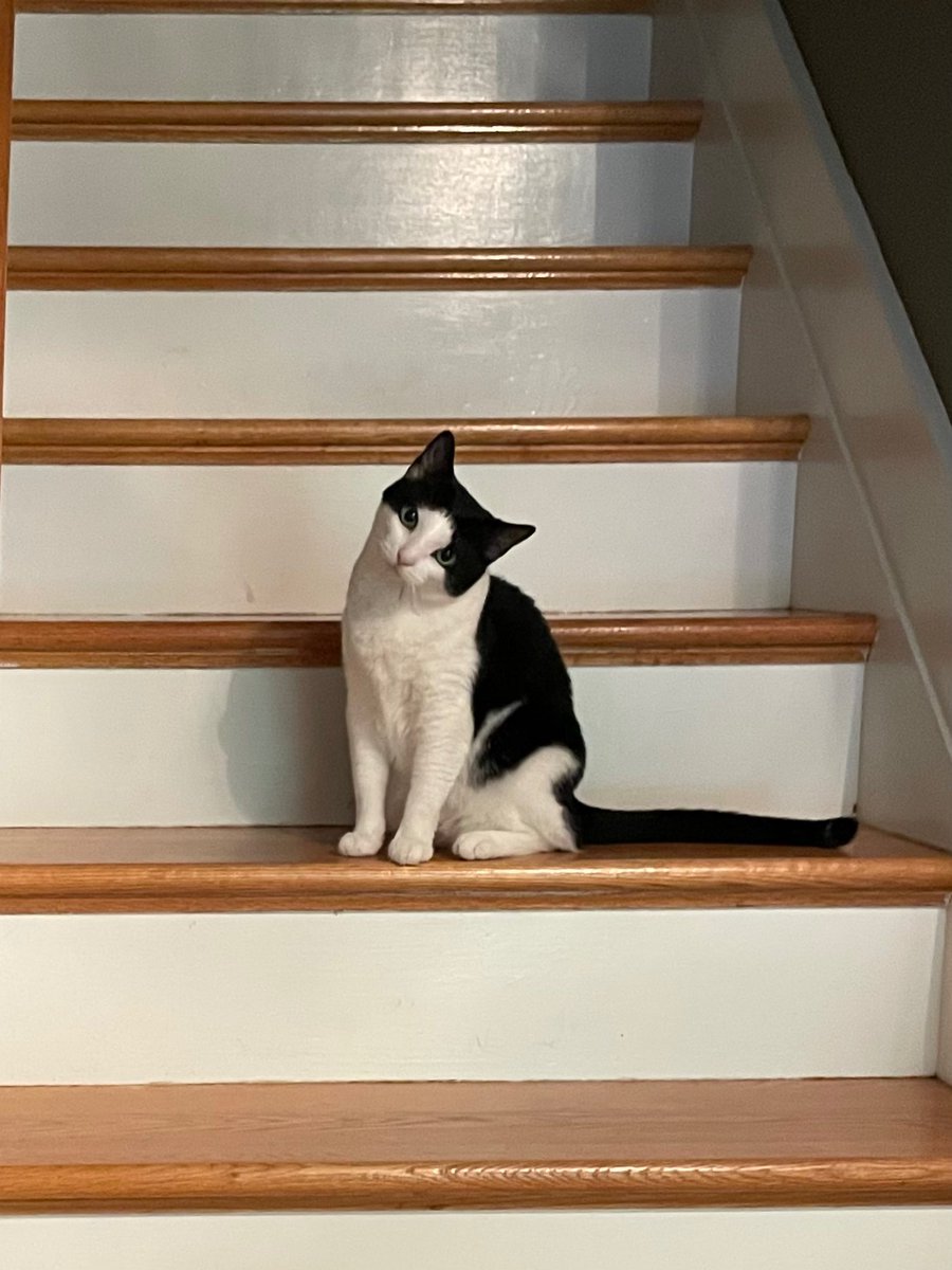Reed’s not angry. He’s just disappointed.