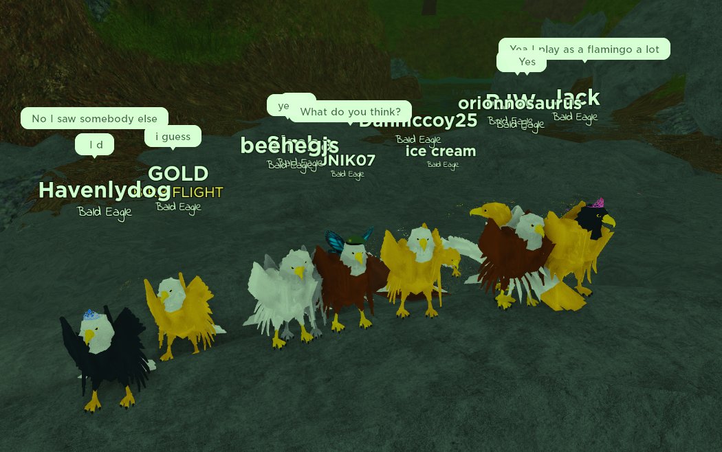untamedroblox's tweet photo. Our very first ANIMAL SLAM was a huge success!! Thank you for everyone who participated!! #hipporun #groupbirdflight #roblox #robloxdev #community #untamedanimals #untamedplanet https://t.co/cNy15qQDZU