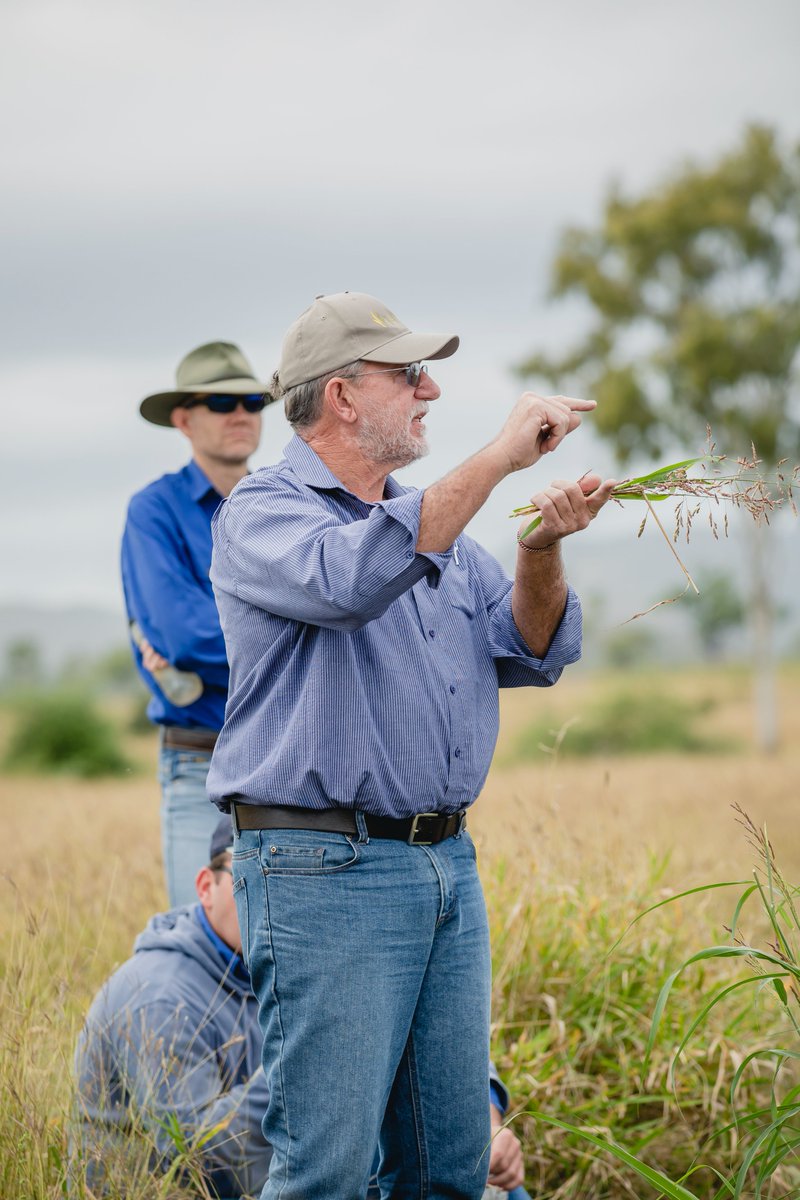 NQ Dry Tropics tweet media