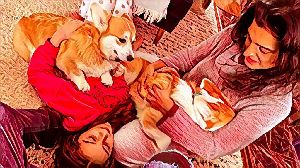 apollak's tweet photo. What can I say about Swati that I haven’t said before over the last 15 years as her partner and during the past 10+ years of her being a mother? I’ll say this: just like she was surprised as how much she found enjoyment and fulfillment first in fashion a… https://t.co/ozCayh9CQh https://t.co/QtJmVZHXXQ