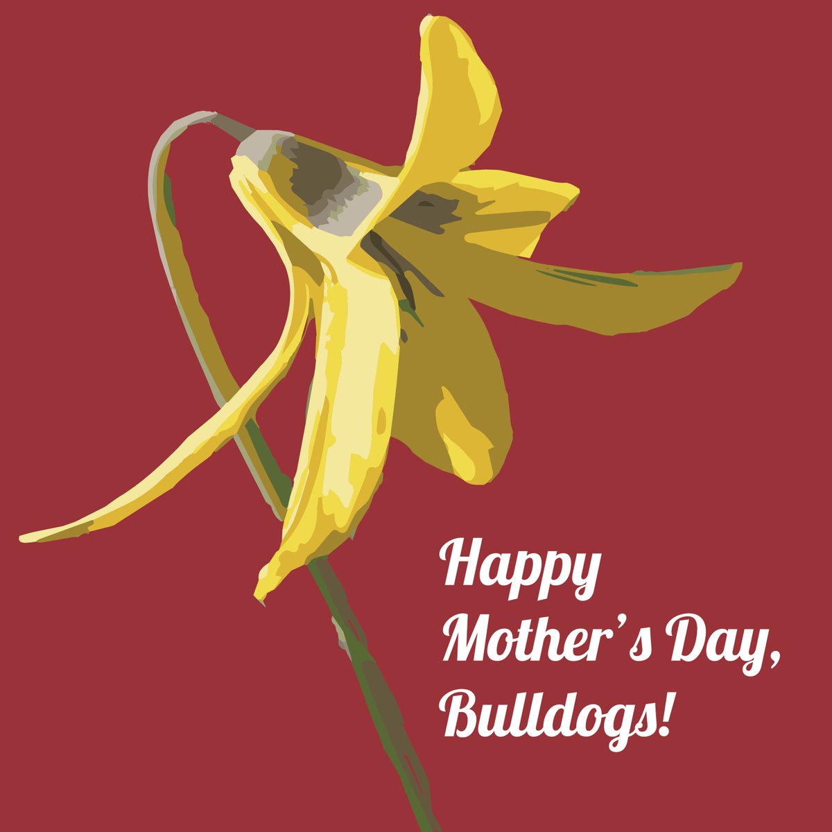 We wish a very Happy Mother's Day to mothers everywhere - birth mothers, adoptive and foster mothers, stepmothers, grandmothers, and dual-role dads. Trout lilies to all of you for the love you give! -Abigail Van Buren (except for the trout lilies part)