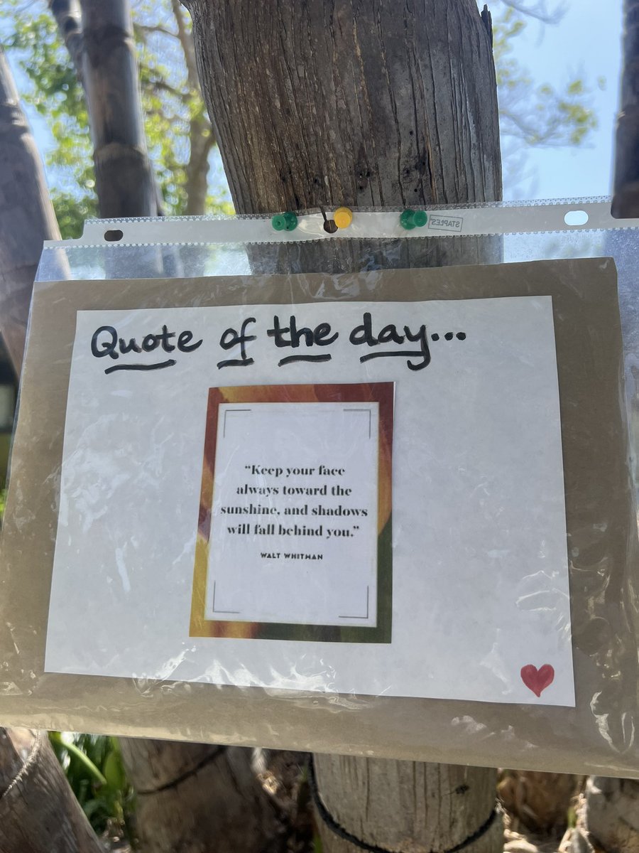 David Johnston tweet media