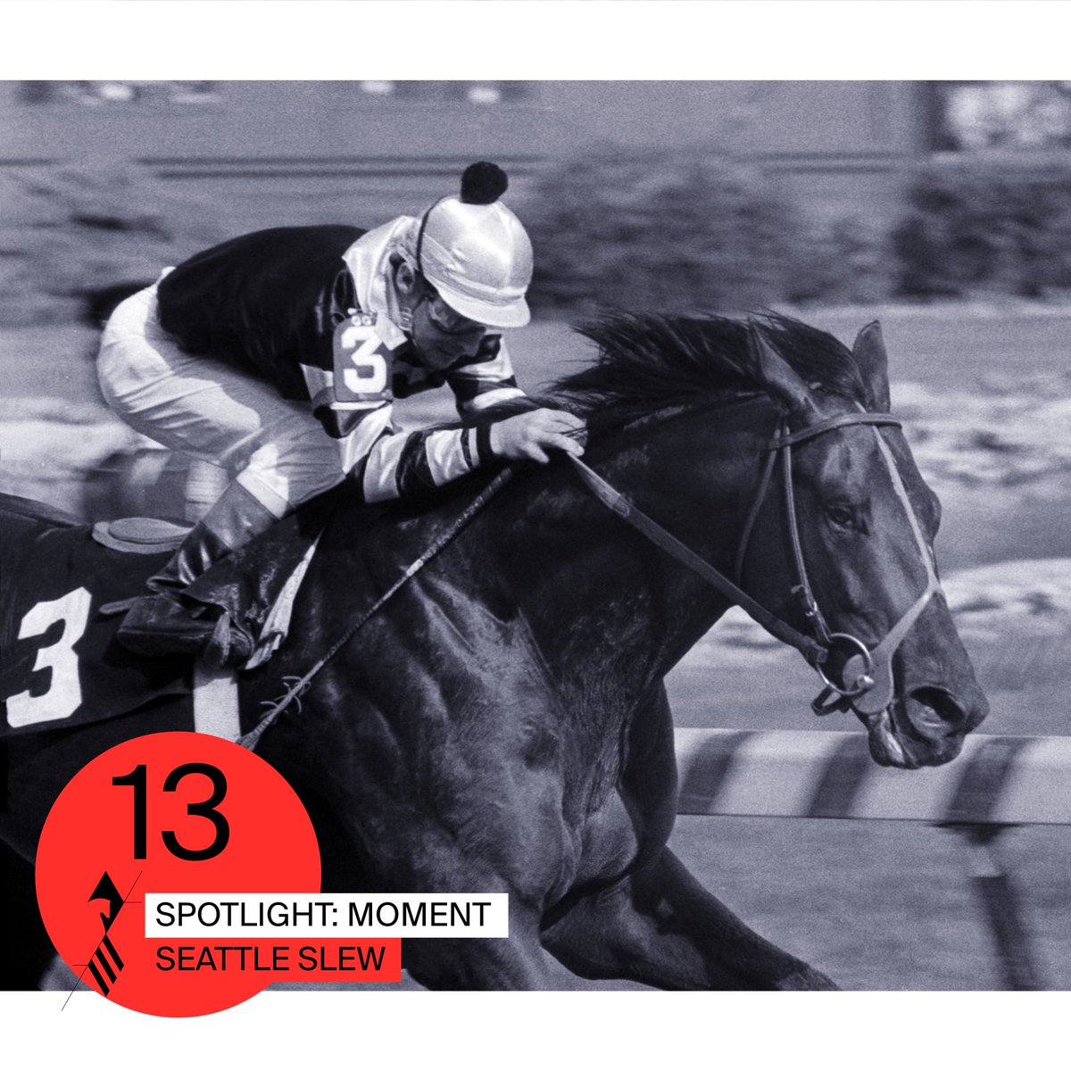 PreaknessStakes's tweet photo. Spotlight 13 shines on one of our 13 Triple Crown champions, Seattle Slew. The #Preakness102 winner was one of only two horses to have won the Triple Crown while being previously undefeated, do you know who the other was? #Spotlight47 #SecondToNone #Baltimore1ST https://t.co/Psr8jWmAkw