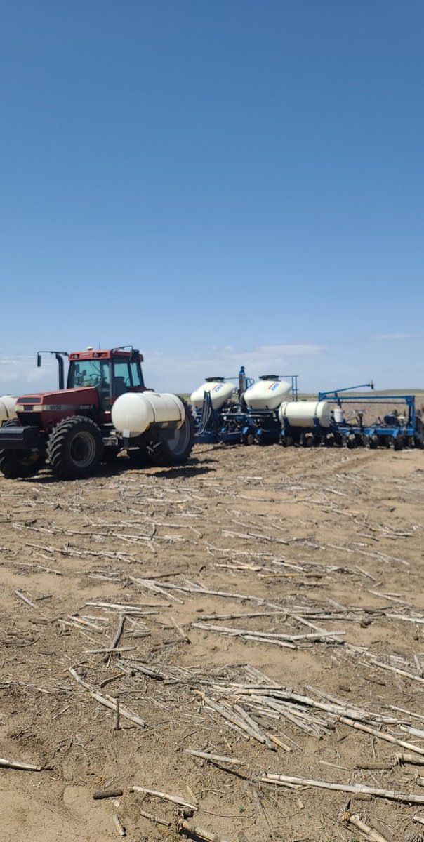 FarmerTreyB's tweet photo. #plant2022 #goldenharvest #kinze #exapta #case https://t.co/YbWqznosBH