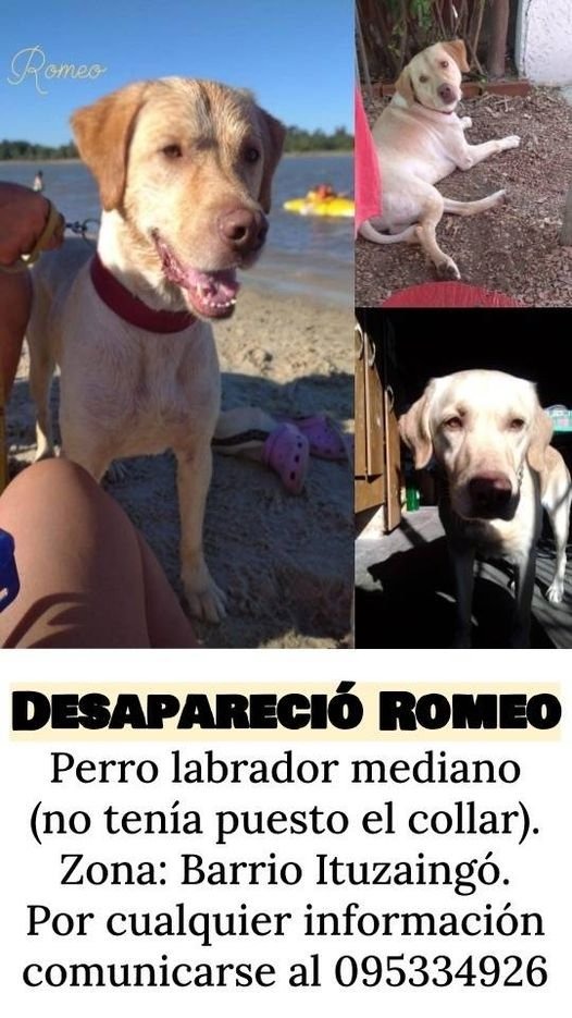 conilindi_'s tweet photo. dif por favor!! https://t.co/4wTFaYZtF2
