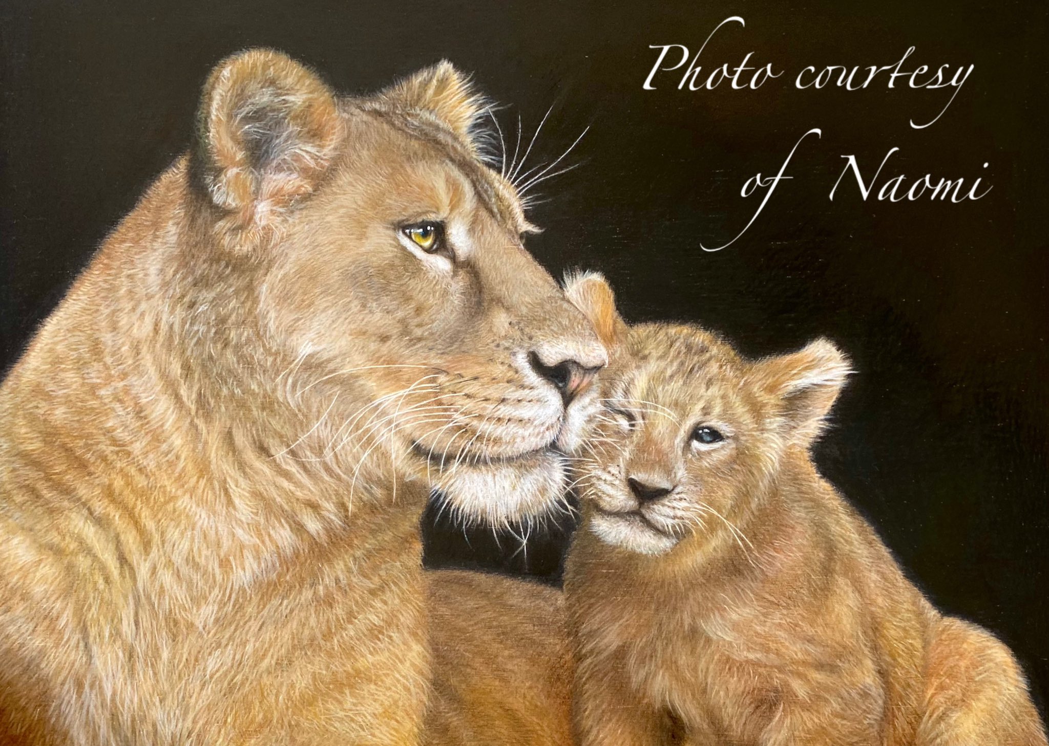 Tweets With Replies By 工房照在 Koubou Tea Kouboutea Twitter