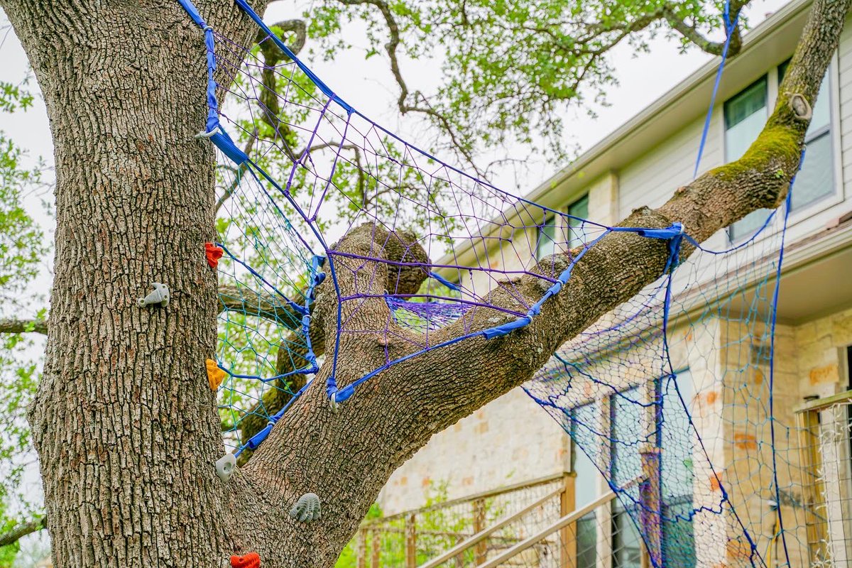 Tree Weaves (@treeweaves) / Posts / X