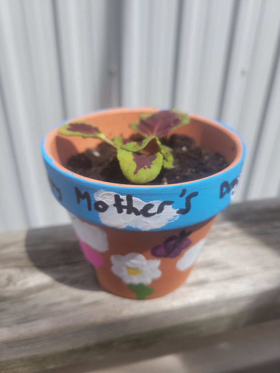 Happy Mother's Day to all the amazing mothers and mother figures!🌸 <a href="/ADayatStRaphs/">St. Raphael School</a>