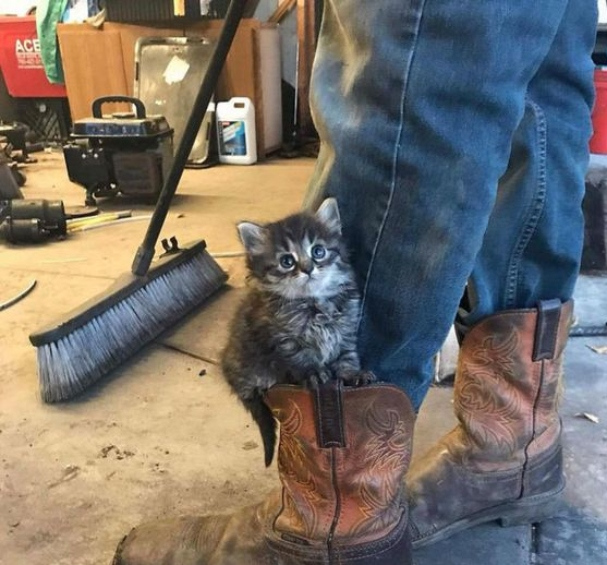 AlexandraHemmin's tweet photo. 💖💖💖💖🇺🇦🇺🇦🇺🇦🇺🇦🕊️🕊️🕊️🕊️🕊️
Today, Mommy has the day off! So this day, I'm Daddy's darling little helper!!!!💖💖💖💖💖💖💖🐈‍⬛🐈‍⬛🐈‍⬛💖💖💖💖💖💖💖 https://t.co/cl6sLhOqUs