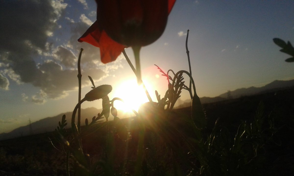 manam_agh's tweet image. دوستام باورشون نمیشه ک این عکسوخودم گرفتم!