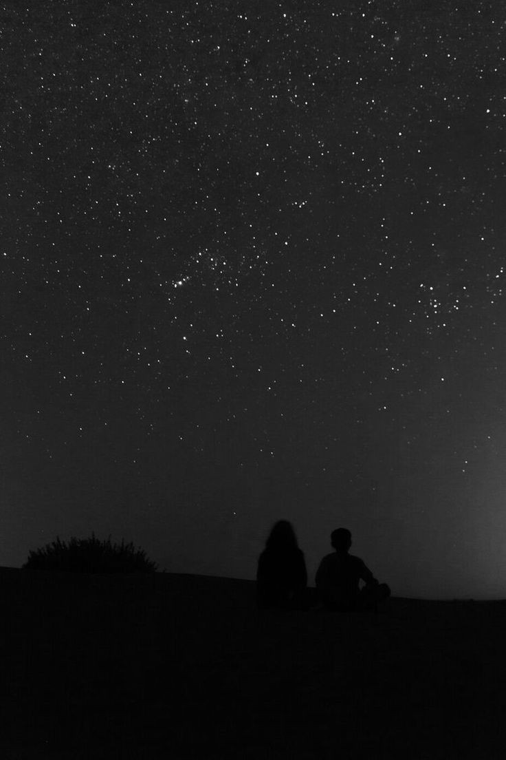 vee & moon | au's noart 📌 (@moonveestory) / Posts / X