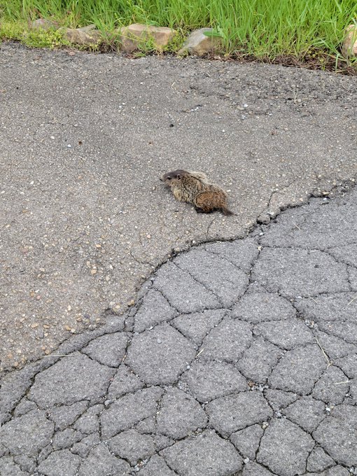 Today's adventures for Mother's day..... Happy Mama's day to all you wonderful moms 💙 https://t.co/g