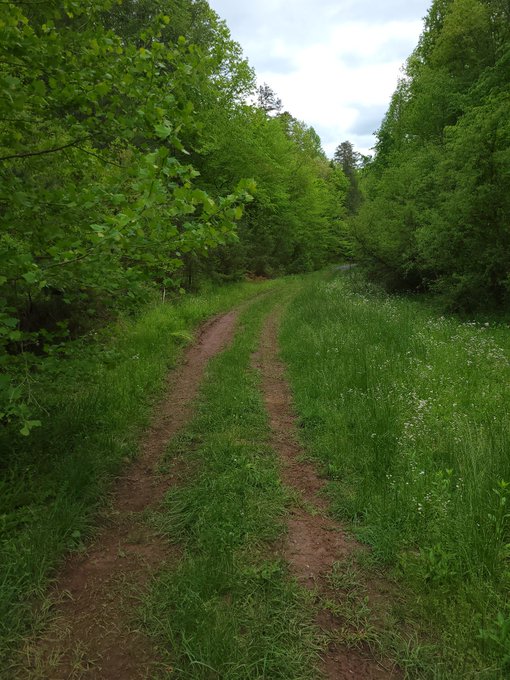 Today's adventures for Mother's day..... Happy Mama's day to all you wonderful moms 💙 https://t.co/g