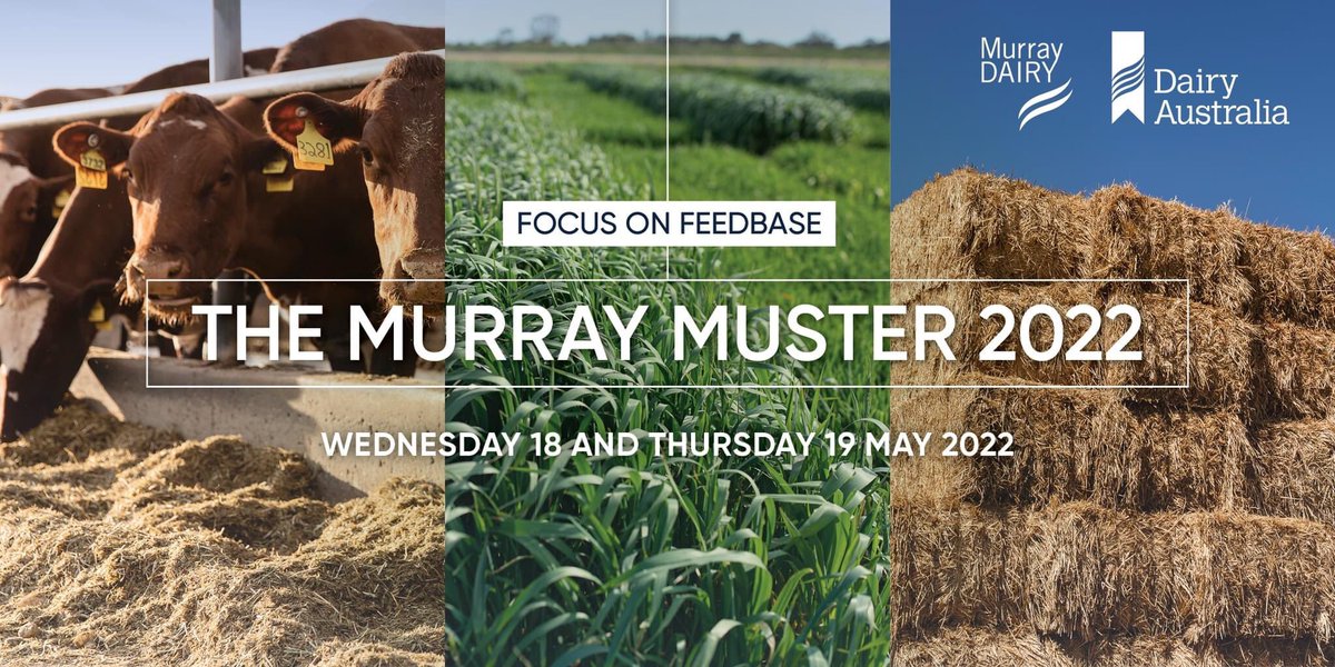 Murray Dairy (@murraydairy) on Twitter photo The countdown is on! Connect, network and celebrate the success of dairying in the Murray region at The Murray Muster 2022: Focus on Feedbase event. Register: dairyaustralia.com.au/events-calenda… <a href="/Dairy_Australia/">Dairy Australia</a> The countdown is on! Connect, network and celebrate the success of dairying in the Murray region at The Murray Muster 2022: Focus on Feedbase event. Register: dairyaustralia.com.au/events-calenda… <a href="/Dairy_Australia/">Dairy Australia</a>