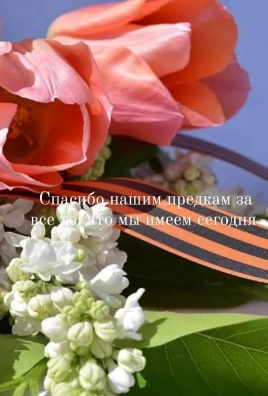 Мэрия города Кара-Балта tweet media