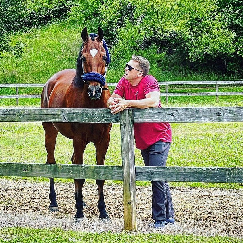 mattmcgauleyCHA's tweet photo. Sunday convos. #horse #equine #farm #americansaddlebred #asb #farmlife #Chattanooga #Tennessee https://t.co/0vtJixFVrR