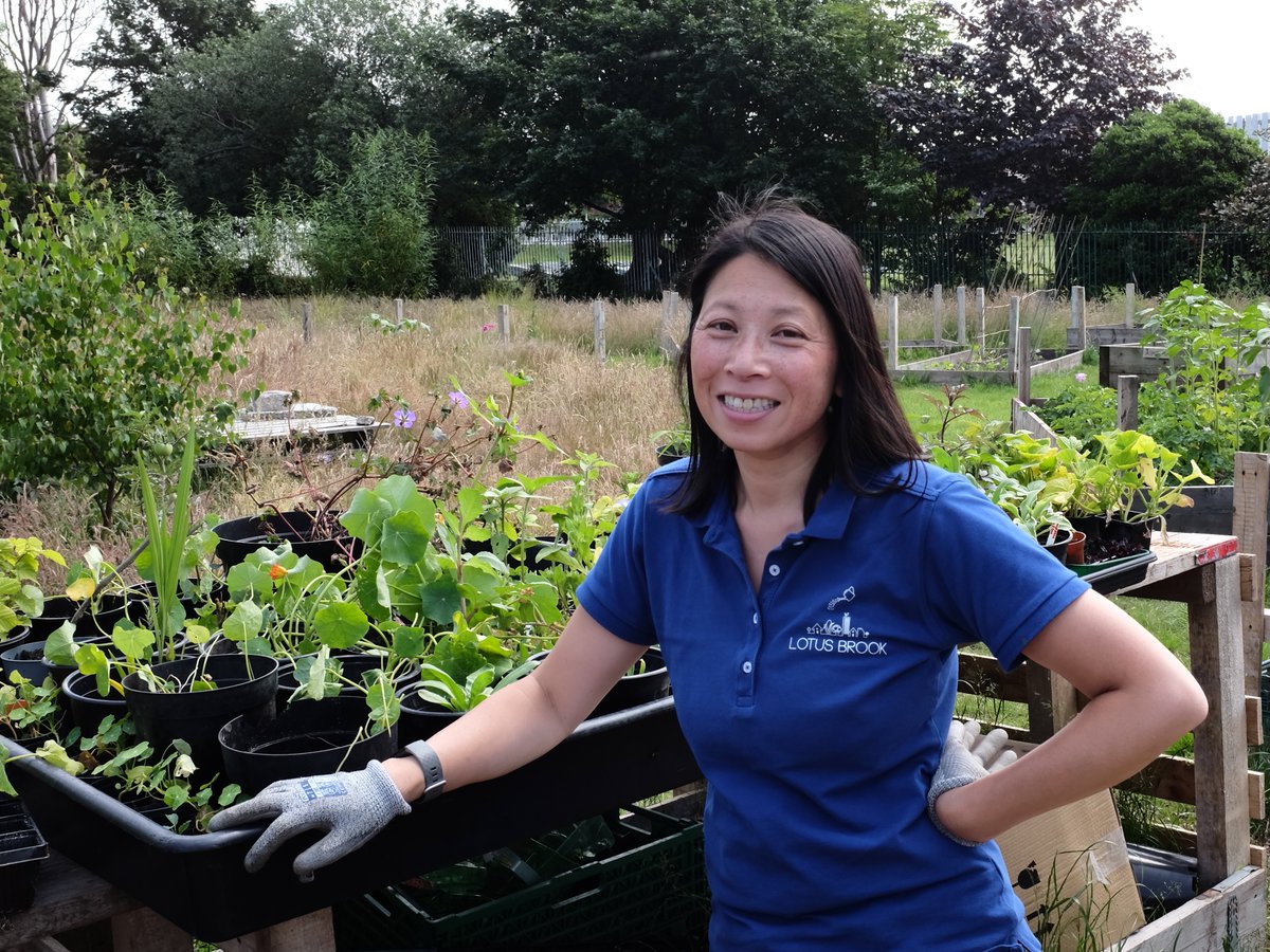 Christine founded <a href="/LotusBrook/">Lotus Brook</a> in 2012 and has supported communities across Merseyside to develop their own growing projects.
#SocEntsOfLCR
ieliverpool.com/lotus-brook/