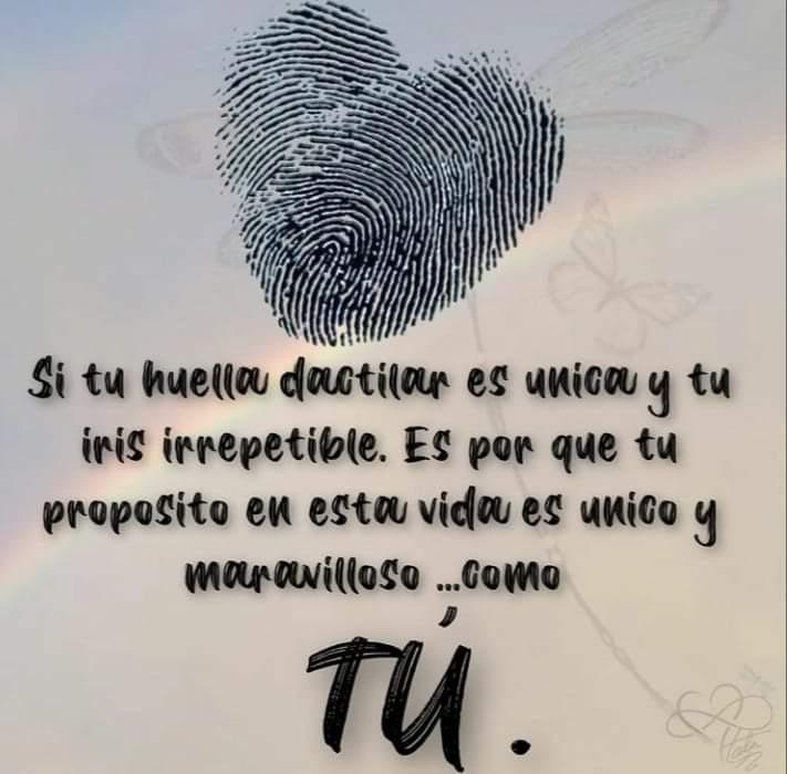 Titilarrazabal's tweet photo. Dios nos hizo perfectos.!!
#SomosSereslrrepetibles
#DiosEsPoderoso!! https://t.co/kyjRxSqfP5