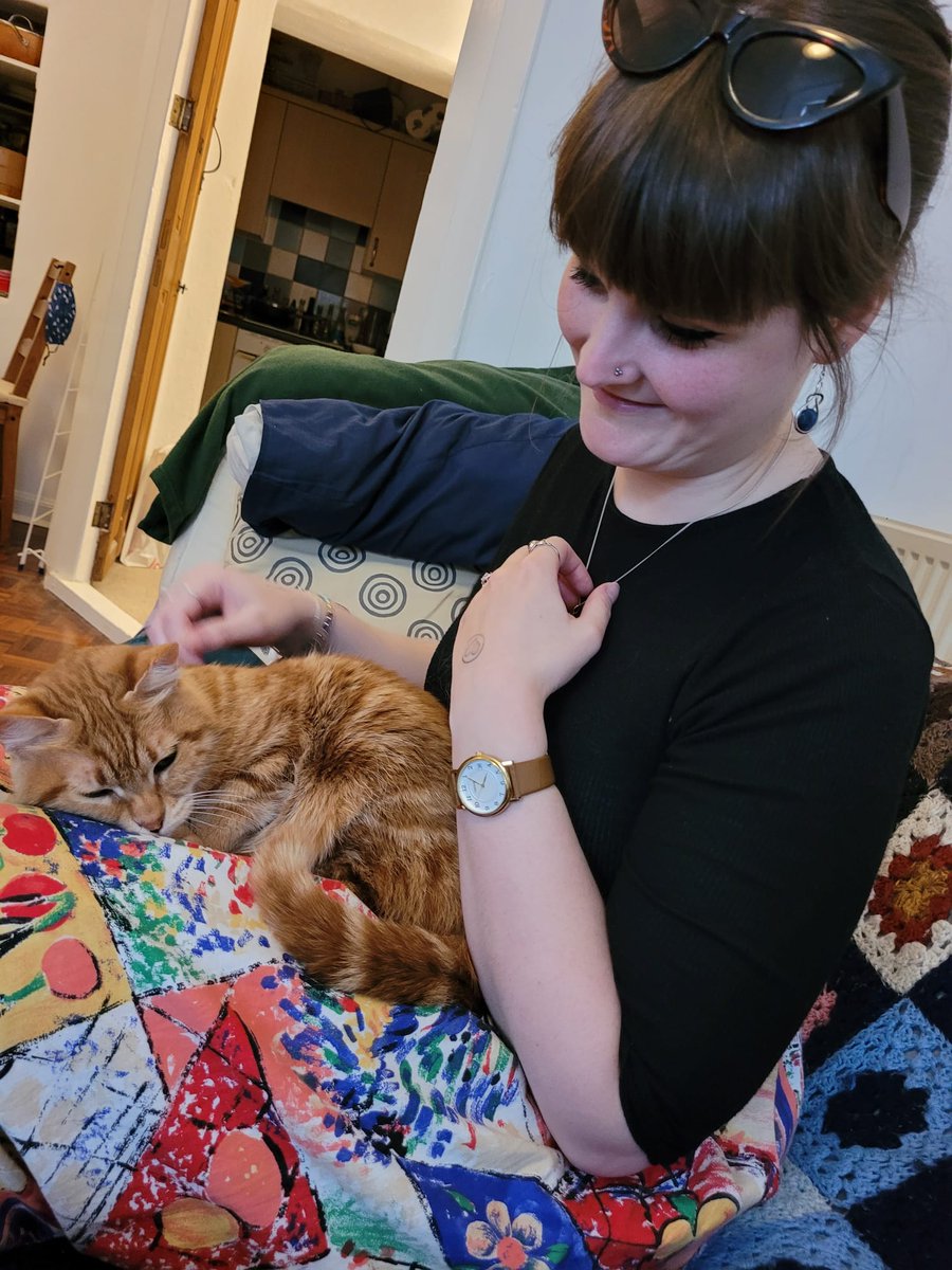 OlympicNapper's tweet photo. A very lovely cat chose to sit herself in my lap today, and I've never been more happy in my life. https://t.co/6BfCkpJBnF