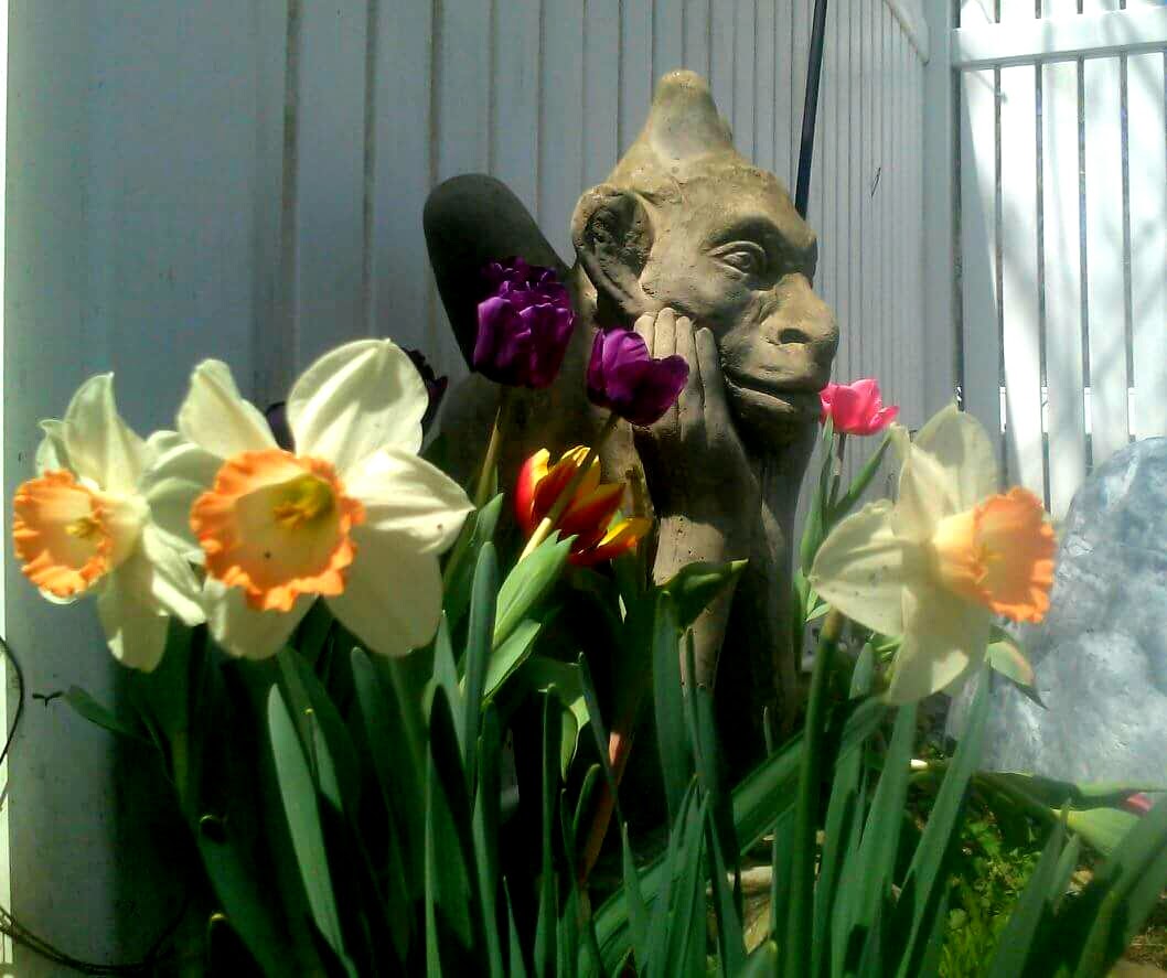 TweeterTestser's tweet photo. @LizKatzOfficial Happy Mother's Day https://t.co/9JtMRS7WRA