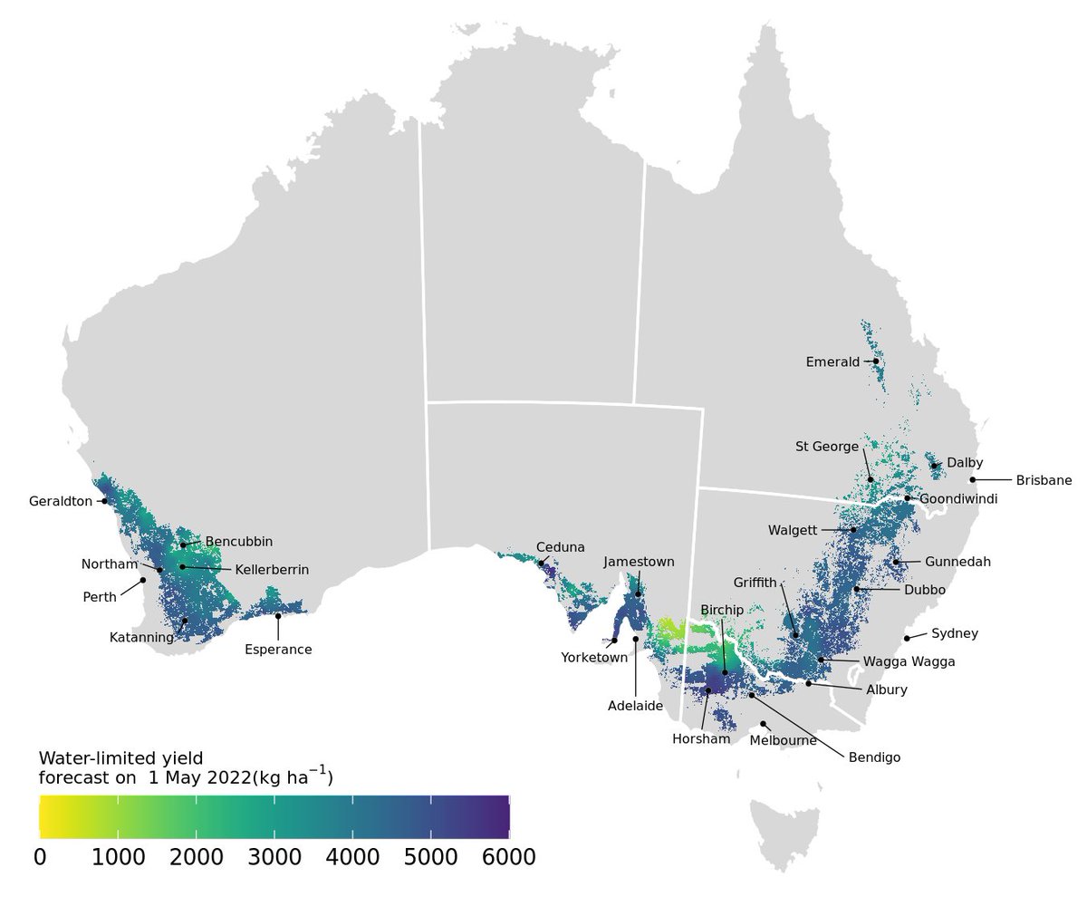 YieldGapAus's tweet image. This @CSIRO national wheat yield forecast is based on data to 1 May 2022. Remarkably for this time of year, we are forecasting a median yield of 2.46 t/ha with 100% confidence of exceeding the long term mean of 1.82 t/ha. For state by state forecasts visit research.csiro.au/graincast/whea…