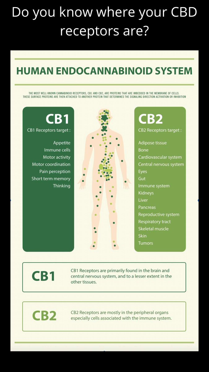 evashanaa's tweet photo. ‘Looking beyond the typical cancer treatments’ New article on Medium: see the posts below to learn more https://t.co/k10K6fNJ0w https://t.co/tllHKFbchI