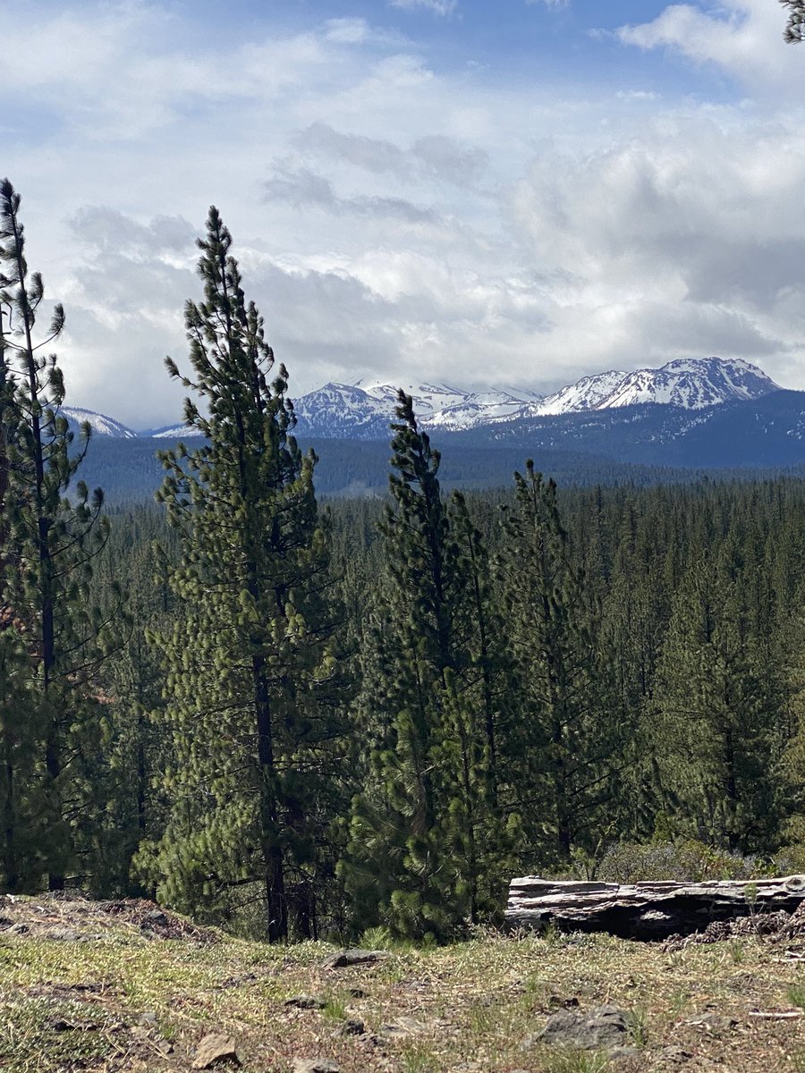 JaymeStoops's tweet photo. Spent 4 days camping in the mountains and now I have a clear mind to work on my novel. https://t.co/NKYVR9YX4h