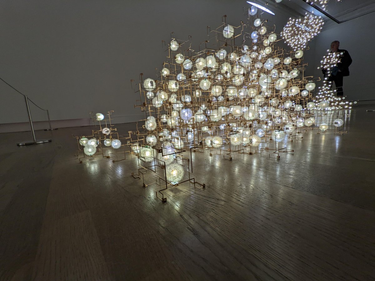 Dan Korostelev tweet media